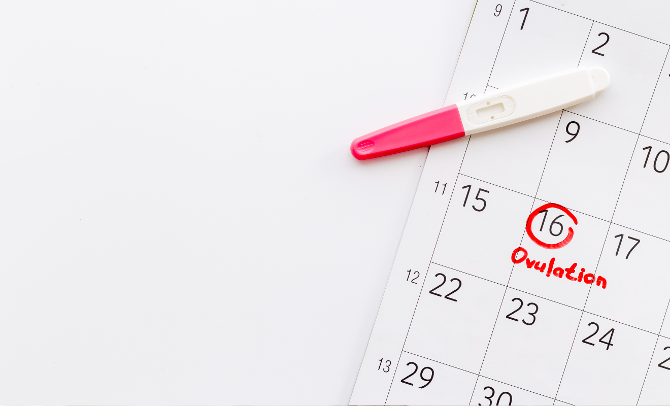 ovulation calendar and pregnancy test illustrating how to prepare for IUI fertility treatment