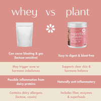 Boobie Body comparison chart of whey protein against plant protein for digestion, skin, inflammation and allergens