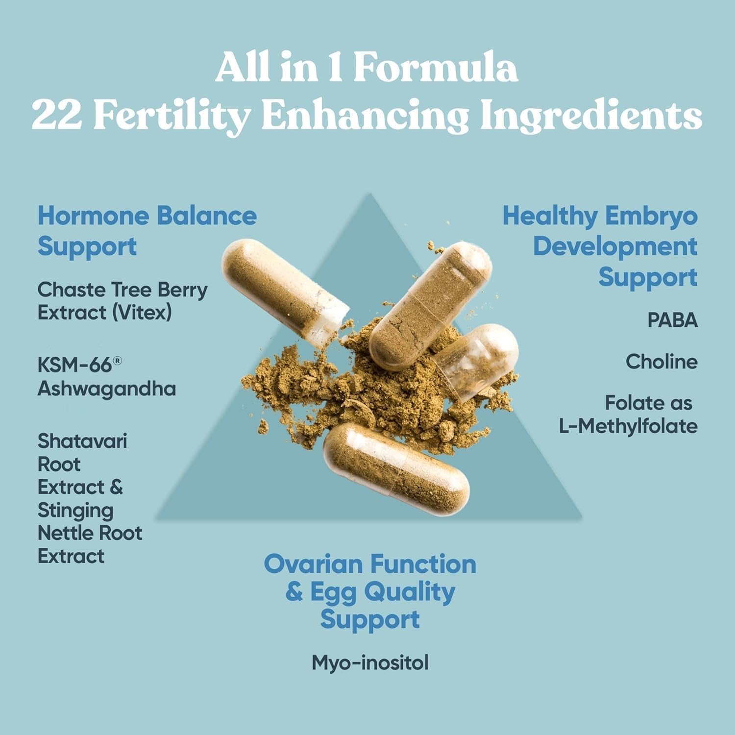 Conception Fertility Supplement|FertilitySupplement|Awaiting the Stork