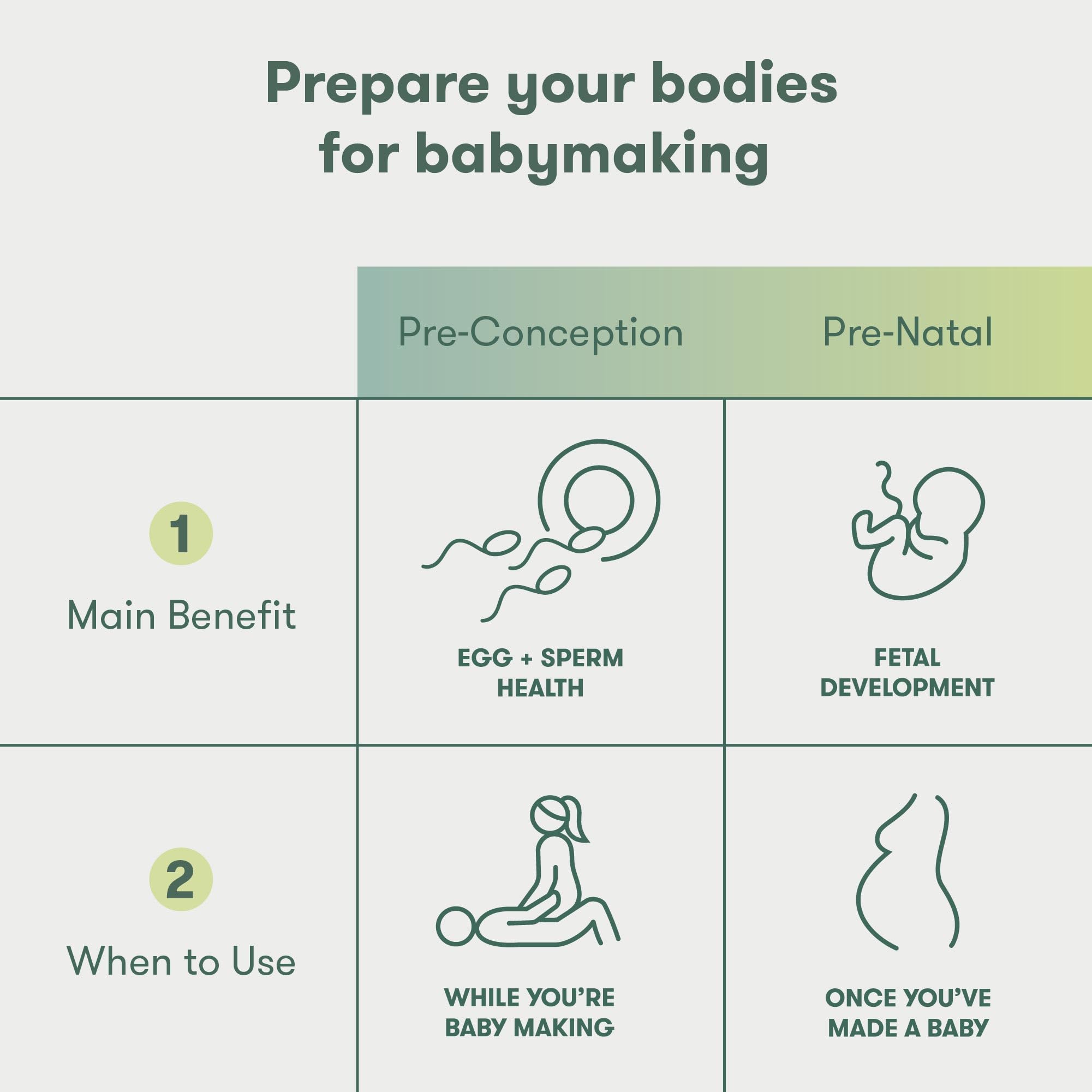 Prepare your bodies for babymaking with fertility supplements for women and men, including pre-conception and pre-natal benefits.
