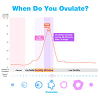 When Do You Ovulate? Chart showing LH levels, fertility window, and ovulation day in relation to menstrual cycle.