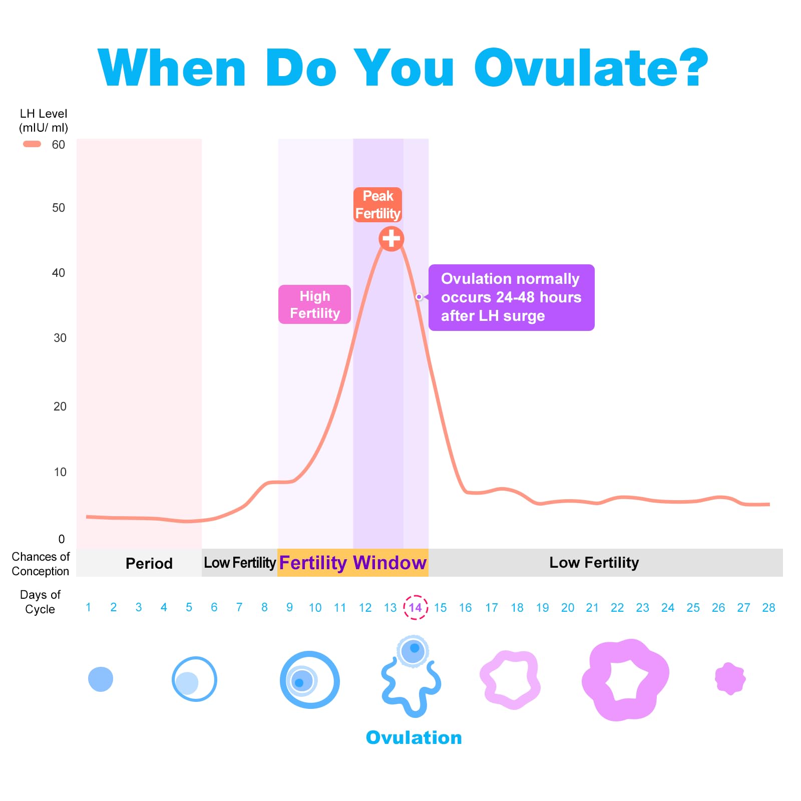 Ovulation Test Graph Ovulation & Pregnancy Test Kit - Easy@Home | Accurate & Affordable ...
