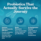 Prenatal Probiotics for Pregnancy & Postpartum - Momma