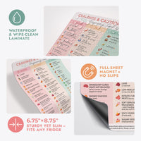 Pregnancy food guide magnet showcasing foods to eat, avoid, and limit during pregnancy in a colorful, waterproof format.